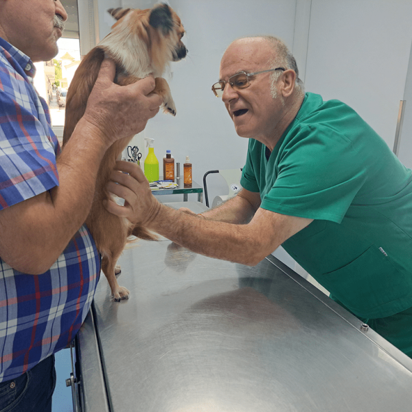 treatment