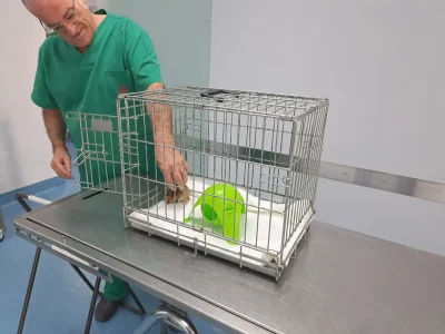 doctor-2